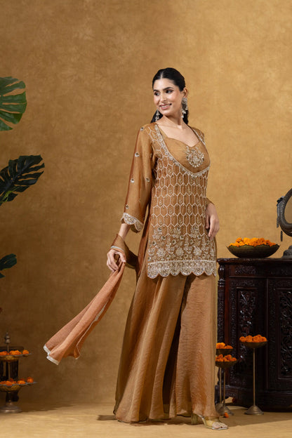 Rust Brown Embroidered Kurta Palazzo Set